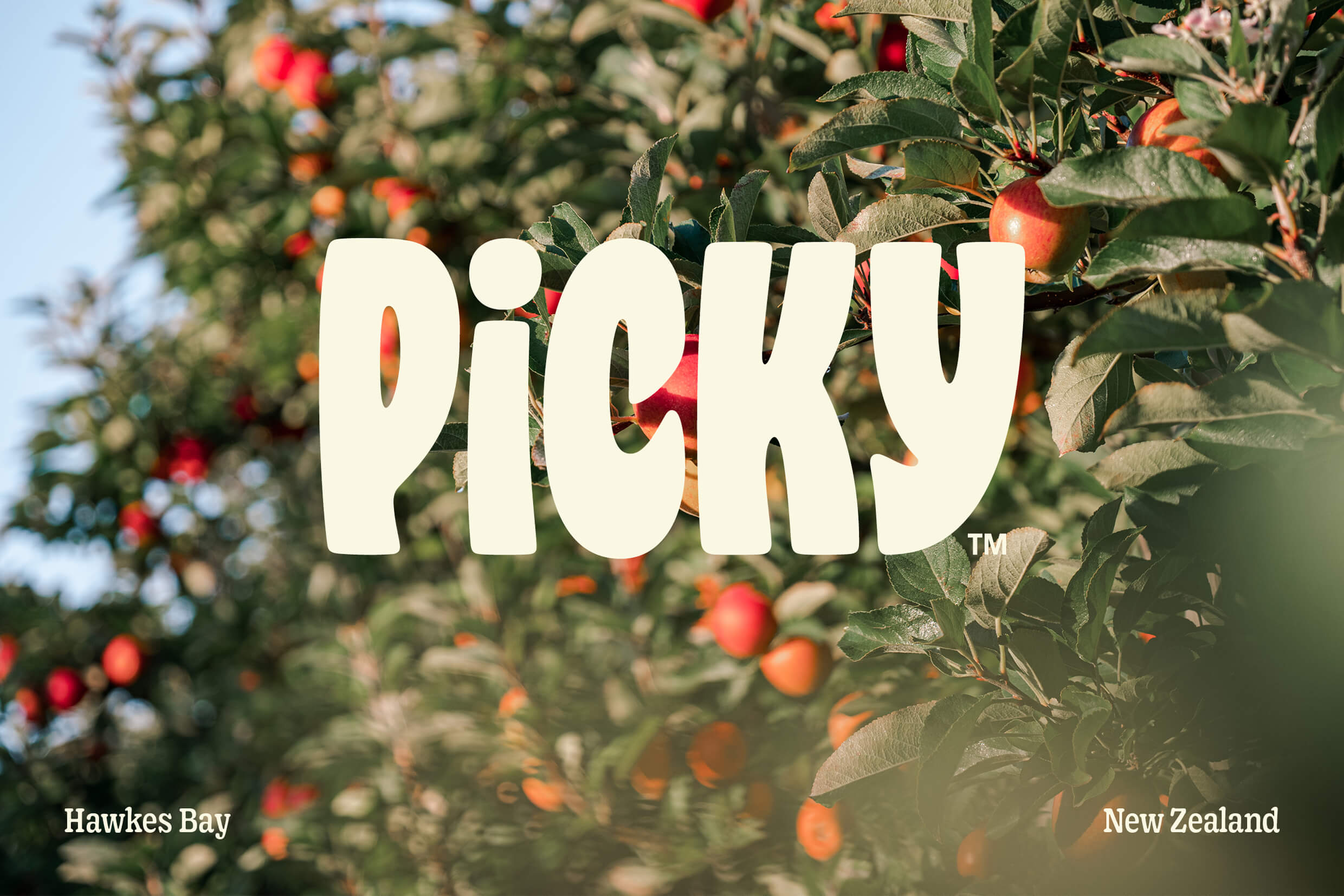 Picky project image 1