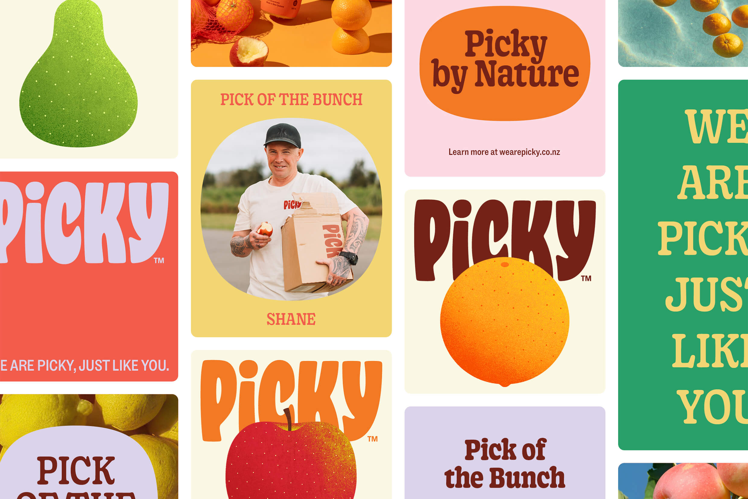 Picky project image 7